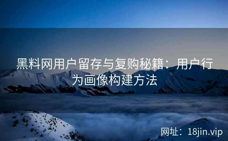 黑料网用户留存与复购秘籍：用户行为画像构建方法