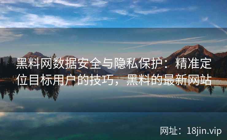 黑料网数据安全与隐私保护：精准定位目标用户的技巧，黑料的最新网站