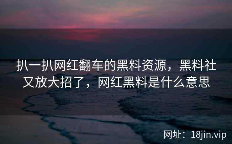 扒一扒网红翻车的黑料资源，黑料社又放大招了，网红黑料是什么意思