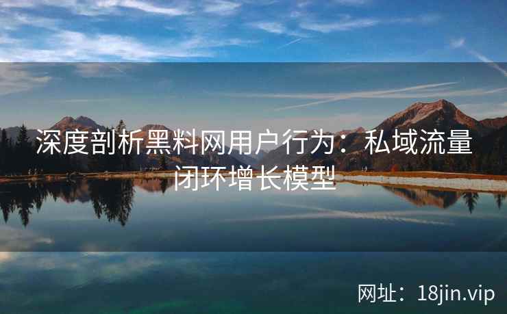 深度剖析黑料网用户行为：私域流量闭环增长模型