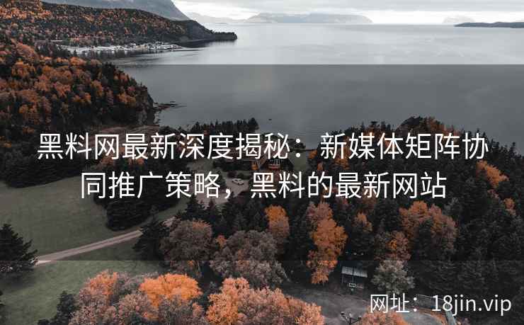 黑料网最新深度揭秘：新媒体矩阵协同推广策略，黑料的最新网站